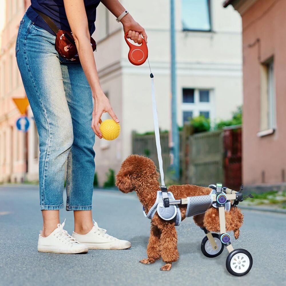 Adjustable Dog Wheelchair for Back Legs Size XS - Picture 7 of 11
